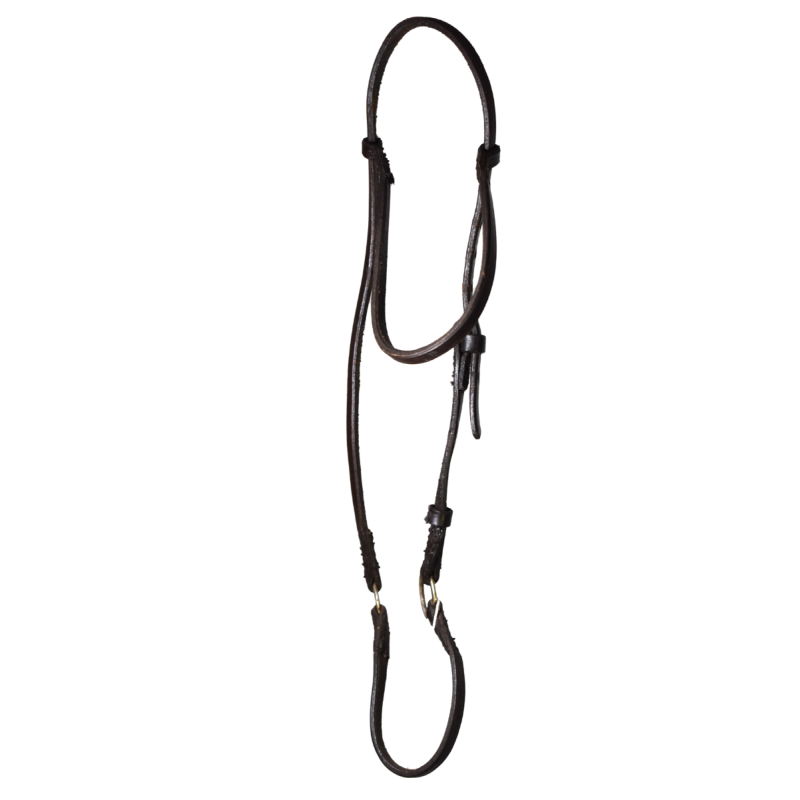 Showing In Hand Cob Halter Black with lead
