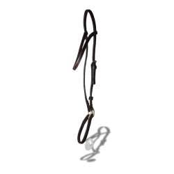 Showing In Hand Cob Halter Black with lead